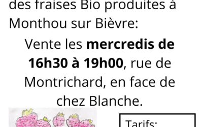 Vente de fraises